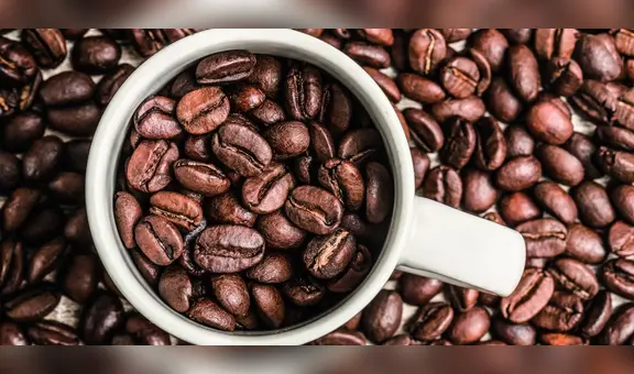 El país con mayor producción de café está en Sudamérica: no es Colombia y produce 70 millones de sacos al año