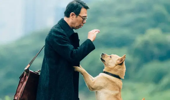 Descubre la historia real del perro que inspiró la película ‘Hachiko 2: una historia verdadera’