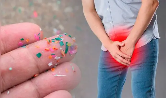 Estudio científico confirma la presencia de microplásticos en los testículos: altera el proceso de reproducción