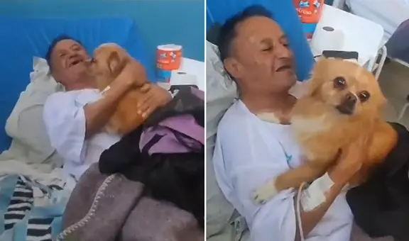 Perrita se camufló para ver a su dueño en hospital de Perú y dicen: "Son medicina para el alma"