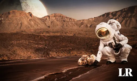 La papa: el tubérculo del Perú que la NASA quiere cultivar en Marte