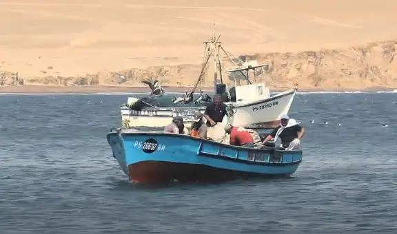 22 exministros exigen al PJ rechazar demanda de  la SNP para pescar en Reserva Nacional de Paracas