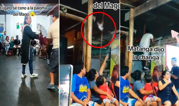 Mago lleva una paloma para su show, esta escapa al techo y termina en las garras de un gato callejero