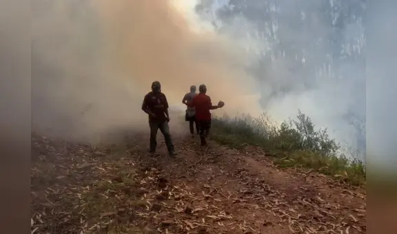 Fuego incontrolable: incendio forestal consume 25 hectáreas en Pasco