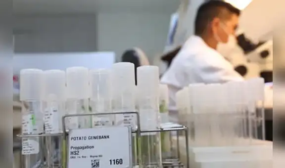 El Banco de Germoplasma más grande del mundo está en Perú