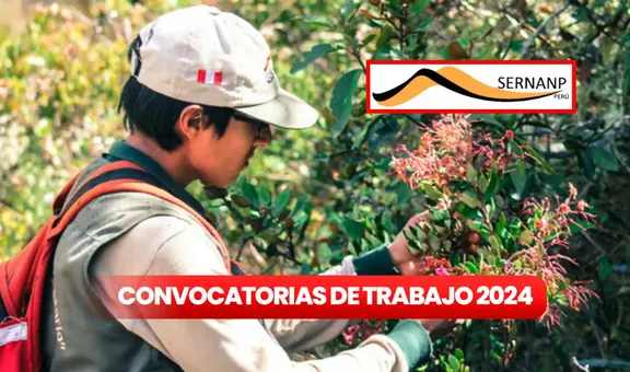 Sernanp abre nueva convocatoria de trabajo: puedes ganar desde S/2.500 si cumples estos requisitos