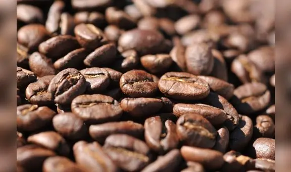 Picos históricos del cacao y café globales impulsaron 16% las exportaciones amazónicas del Perú