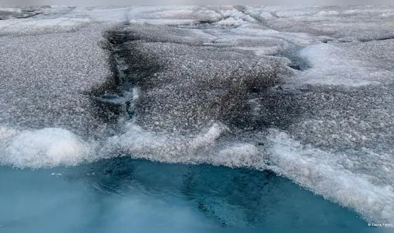 Virus gigantes en Groenlandia podrían frenar el deshielo del Ártico, según reciente estudio científico