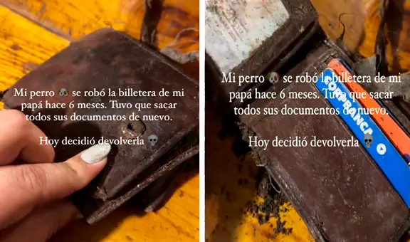 Hombre pierde billetera, saca duplicado de sus documentos y su perro se la devuelve luego de 6 meses