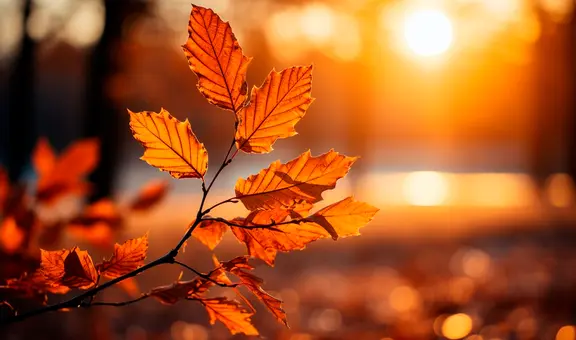 Temporada de otoño 2024: ¿Cuándo es el primer día del otoño de 2024 en Estados Unidos?