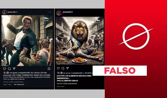 Javier Milei no publicó fotos de agresiones a ancianos en Instagram: fueron creadas con IA