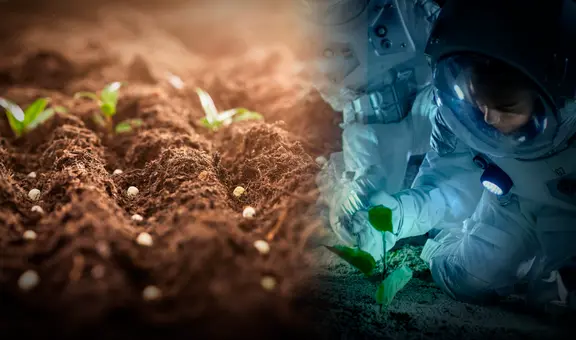 La innovadora forma con la que buscan cultivar vegetales en Marte con ayuda de los mayas