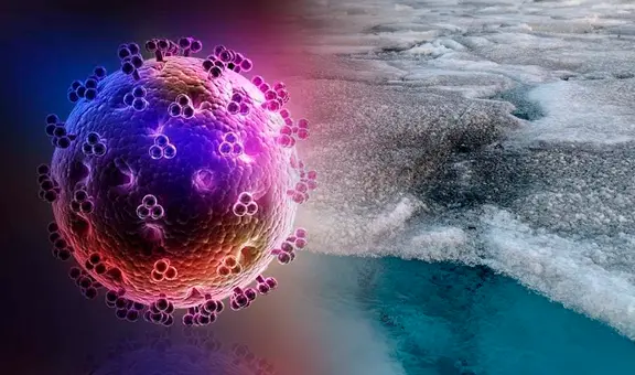 Virus gigantes en Groenlandia podrían frenar el deshielo del Ártico, según reciente estudio científico