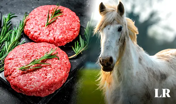 Este país de Sudamérica es el principal exportador de carne de caballo en el MUNDO: la vende, pero no la consume
