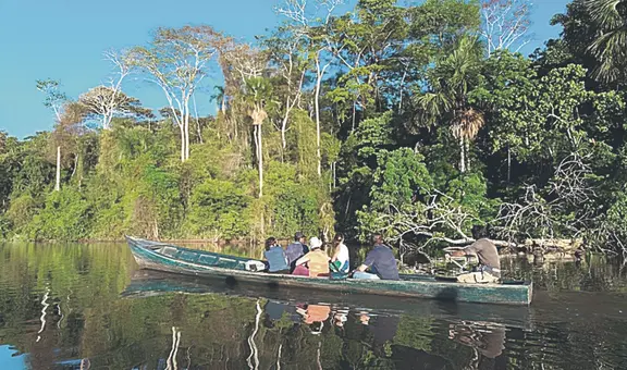 Más de US$30.000 millones podría captar la Amazonía