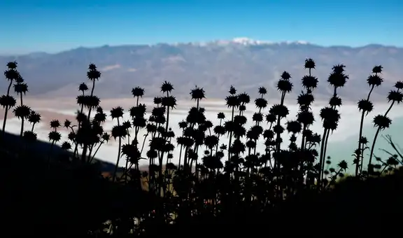 El lugar más caliente del mundo está en América, tiene la temperatura más alta registrada en la tierra