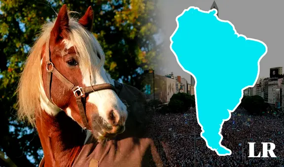 El país que lidera la exportación de carne de caballo en Sudamérica y es primero en el MUNDO: no es Perú ni Uruguay