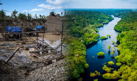 Amazonía peruana es consumida por la sed de explotación de oro en el mundo: "Este terreno está muerto"