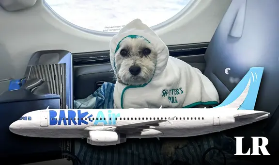 La primera aerolínea para perros y pasajeros ya está disponible en EE. UU.: viajarán en cabinas y no en jaulas