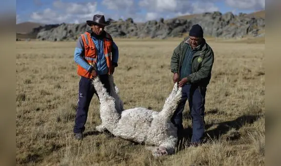 Enfen activa la alerta de vigilancia por La Niña Costera