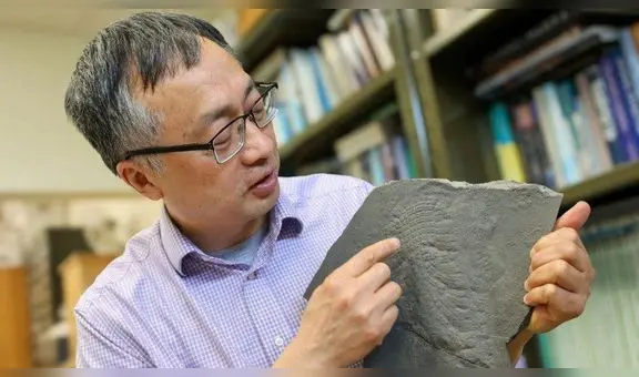 Científicos descubren fósil de 550 millones de años: soluciona el enigma de las esponjas marinas