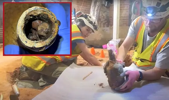Arqueólogos hallan fruta “perfectamente conservada” de 250 años en bodega enterrada de George Washington