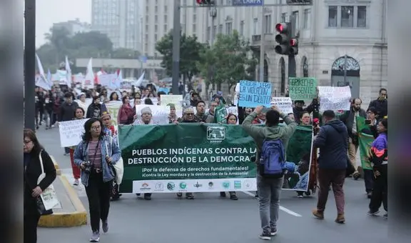 Movilización: ciudadanía salió a protestar contra la destrucción de la democracia