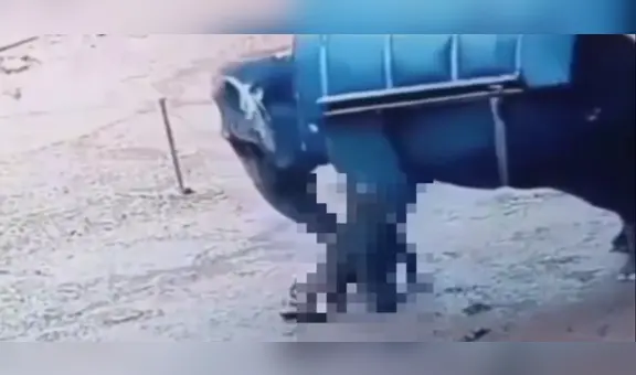 Un hombre de 62 años muere aplastado por elefante en un zoológico en la India