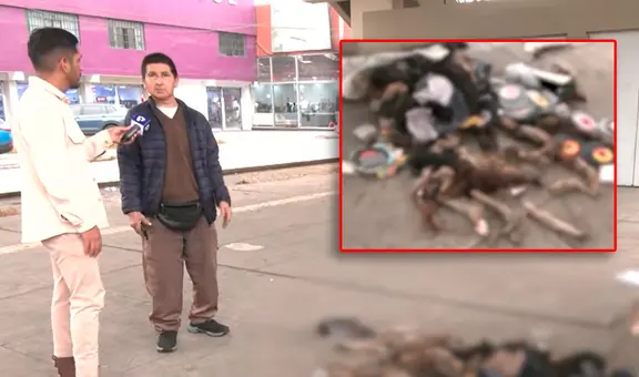 San Juan de Lurigancho: encuentran costales con colas de perros en los exteriores de la Línea 1 del Metro