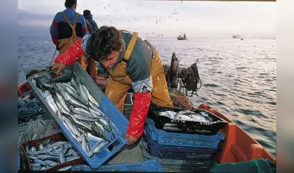 En el Día del Pescador, las 5 millas del mar de Grau siguen sin ser reglamentadas