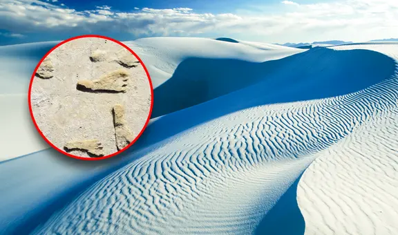 El desierto de arena blanca más grande del mundo, alberga huellas fósiles y tiene más de 280 millones de años