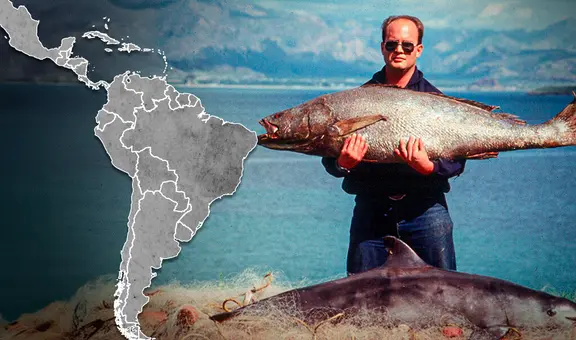 El pescado más caro del mundo está en América, cuesta más de 8 mil dólares y es cotizado en China