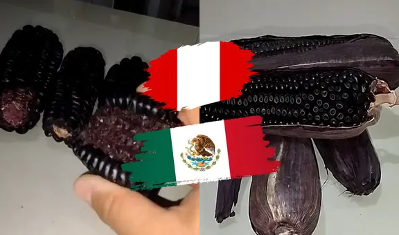 Mexicano compara el maíz morado peruano con el de su país y queda sorprendido: “Me gustó más”