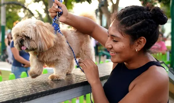 ¡Necesitan tu ayuda! Patatón 2024 busca recolectar 5 toneladas de alimentos para perros y gatos