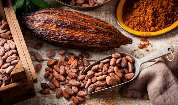 Estudio científico revela el país de América Latina donde se originó el cacao y como se esparció por el mundo