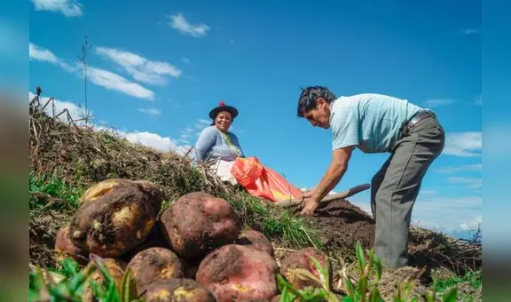 Sector agropecuario creció 5,4% en los primeros cinco meses del año