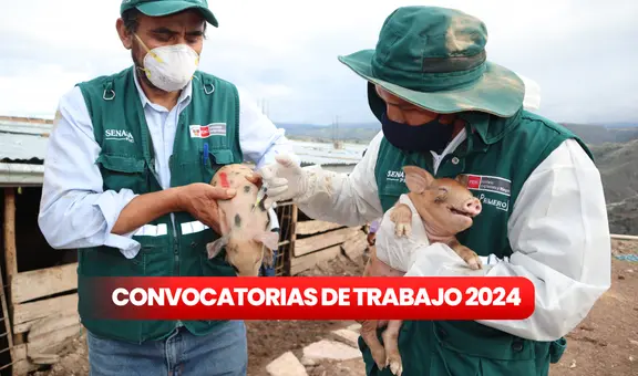 ¿Buscas trabajo? Senasa ofrece empleos con sueldos de hasta S/5.114 en Lima, Ica, Cusco y más: LINK para postular
