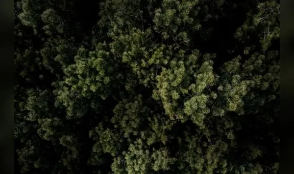 Minem acoge iniciativa del sector privado para explorar gas natural en reservas protegidas