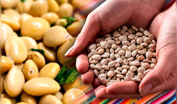 El 'superalimento' inca que crece hasta en 3 países de América Latina: combate la anemia, la diabetes y más
