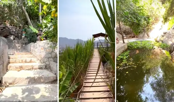 ¿Sabías que uno de los distritos más poblados de Lima tiene una selva escondida?: la entrada cuesta S/6