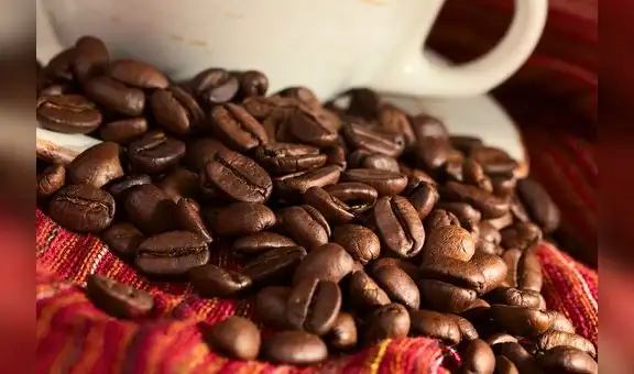 Cafetaleros peruanos cierran acuerdos por US$5 millones hacia principales mercados globales