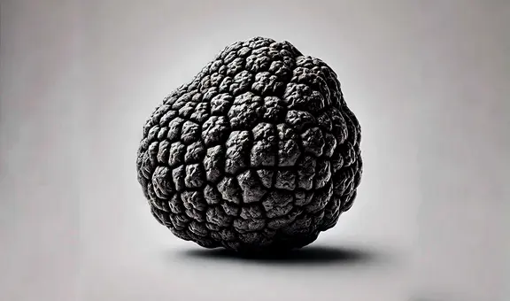 El hongo comestible que crece en Sudamérica y es el cultivo más rentable del mundo: se vende en US$ 4.000 el kilo