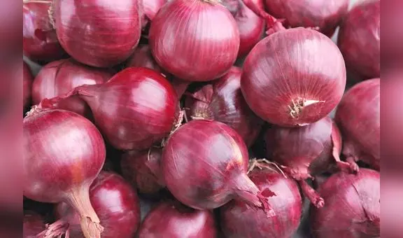 Se viene sobreoferta de ají, cebolla, zapallo y tomate: precios en mercados podrían desplomarse