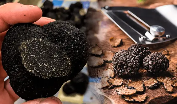 El 'diamante de la cocina' que crece en Sudamérica y es el cultivo más rentable del mundo: se vende en US$4.000 el kilo