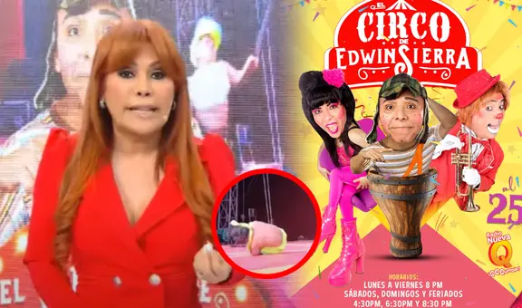 Magaly Medina DESTRUYE al Circo de Edwin Sierra tras accidente de artista: "Pudo quedarse parapléjico"