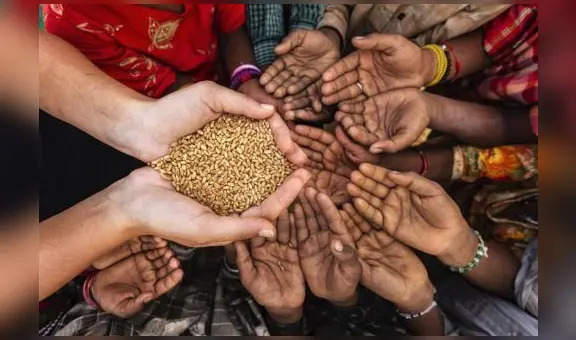 ¿Crisis alimentaria en Perú? Consecuencias y soluciones