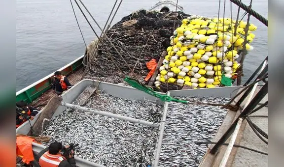 Dina Boluarte: se aprobará política nacional de pesca para impulsar competitividad