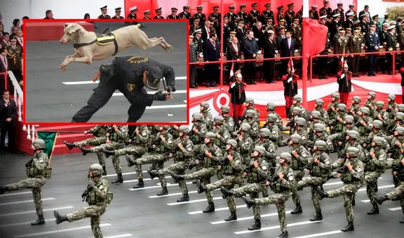 Perritos de la Brigada Canina del PNP ya no fueron parte de la Gran Parada Militar 2024