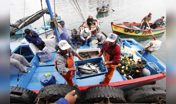 INEI: producción pesquera creció 45,02% en el primer semestre