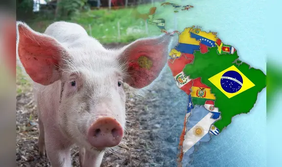 El país de América Latina con el mayor consumo de cerdo en toda la región: supera a Brasil y Argentina